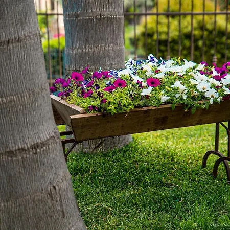 Holiday home Etna Cocus Santa Venerina