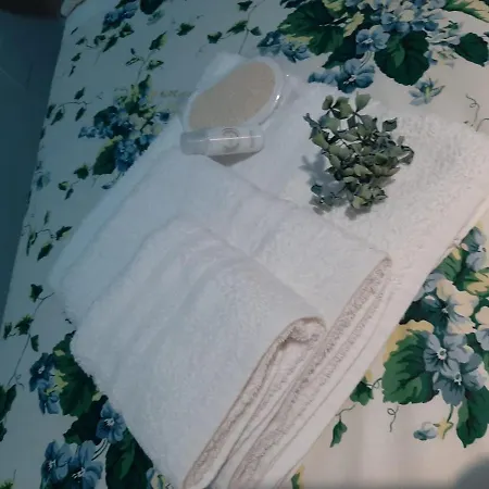 Vakantiehuis Etna Cocus