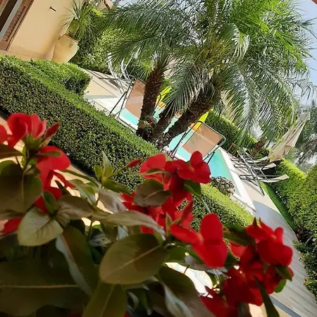 Holiday home Etna Cocus